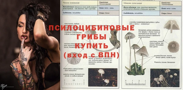экстази Вяземский