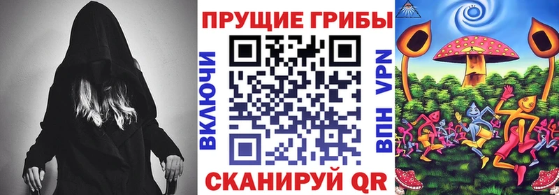 купить закладку  Георгиевск  Галлюциногенные грибы GOLDEN TEACHER 