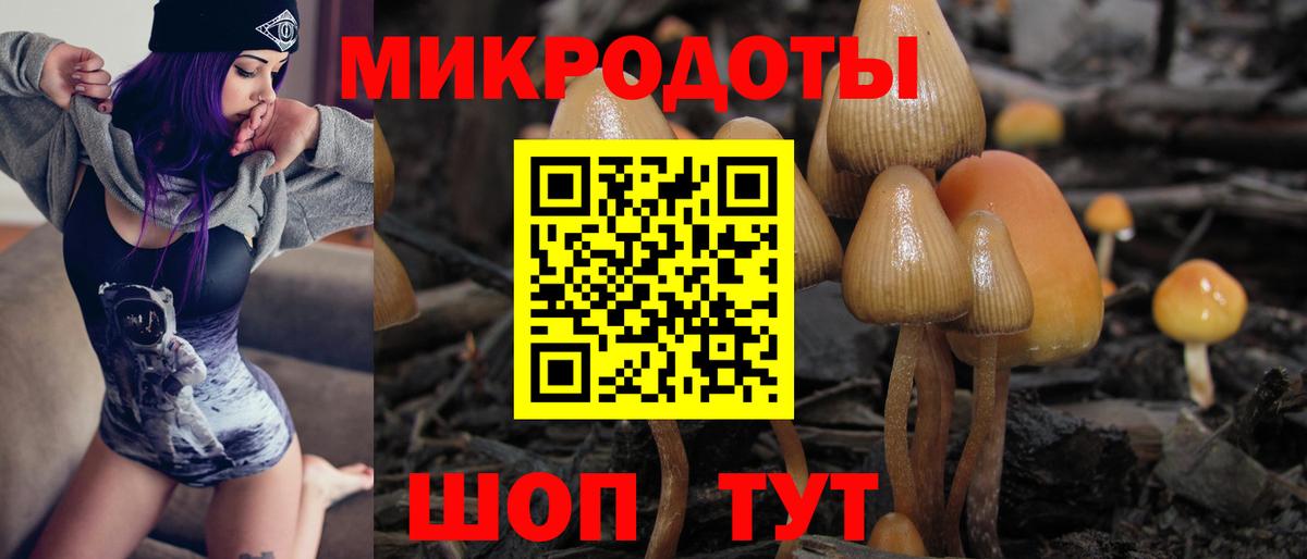 Галлюциногенные грибы ЛСД  Псилоцибиновые грибы Magic Shrooms  Вход с VPN  Георгиевск 
